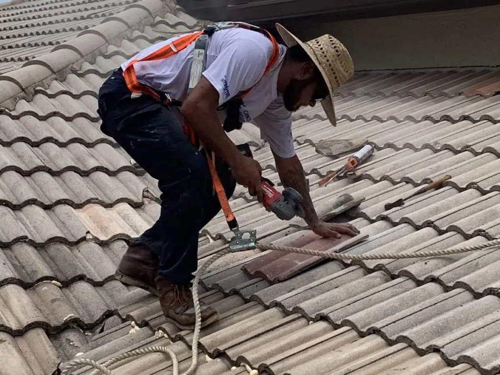 Roof 