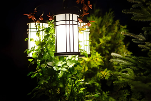 Could Lighting Be the Most Underrated Element in Your Home?