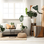How Can Biophilic Architecture Transform Indoor Environments?