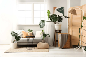 How Can Biophilic Architecture Transform Indoor Environments?